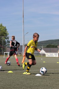 IMG 8791